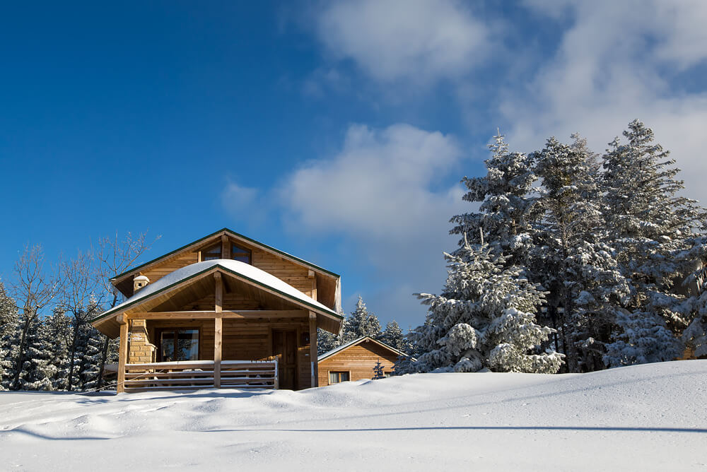 Дизельное топливо для дачи